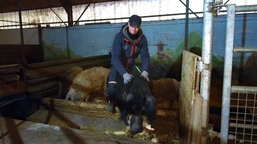 Régis Haydo et la Ferme de l’Orchidée