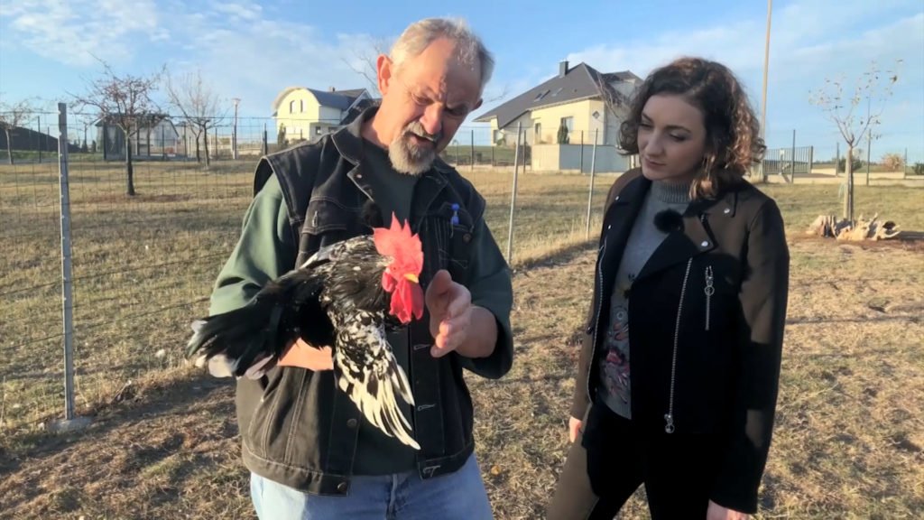 L'aviculture, une histoire de passionnés