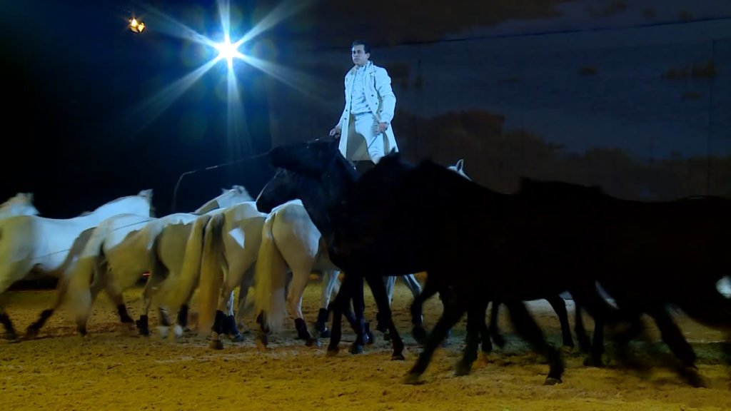 Les Crinières d’Or consacrent la complicité entre l’homme et le cheval