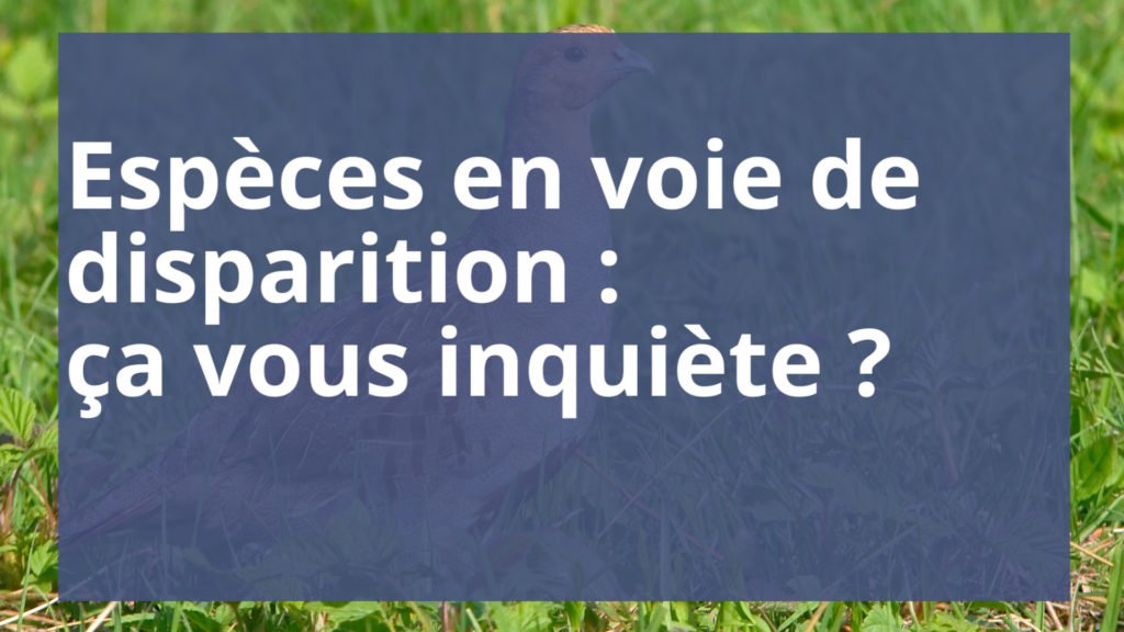 Certaines espèces animalières sont en voie de disparition sur notre territoire, est-ce que ça vous inquiète ?