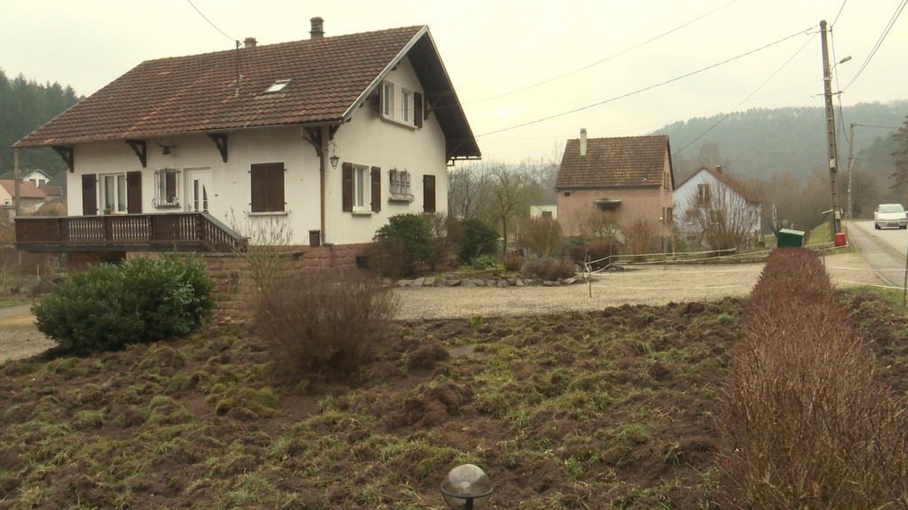 Des sangliers se glissent dans les jardins des habitants de Philippsbourg