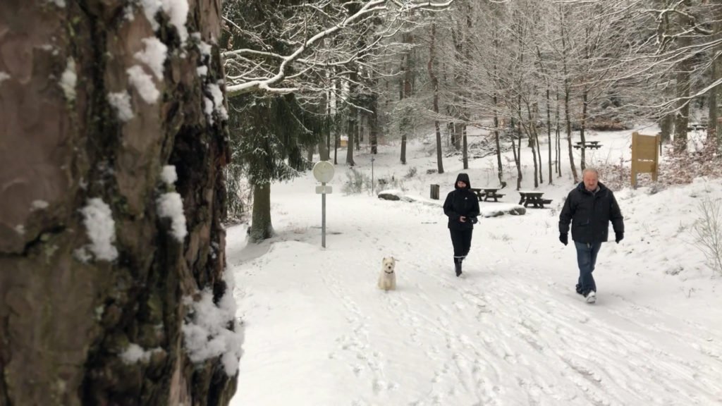 La neige enchante petits et grands