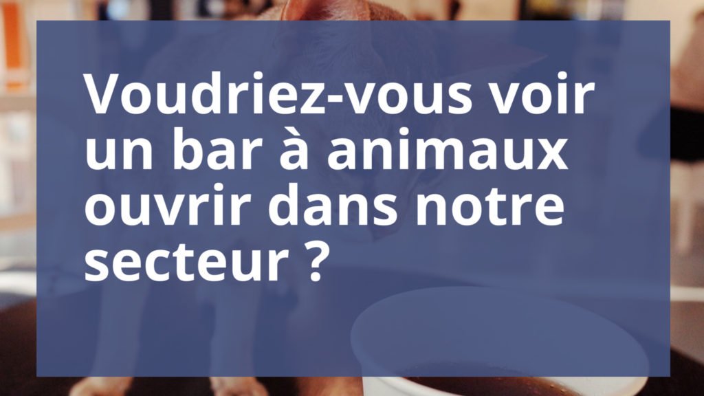 Voudriez-vous voir un bar à animaux ouvrir dans notre secteur ?