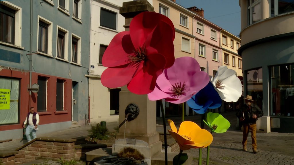 Opération fleurs géantes à Sarreguemines