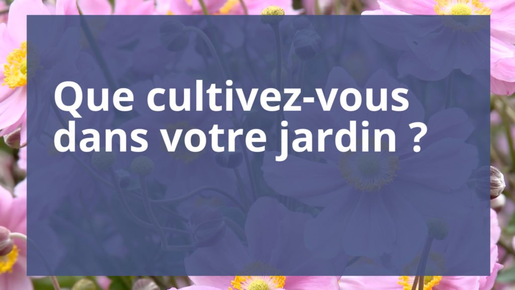 Que cultivez-vous dans votre jardin ?