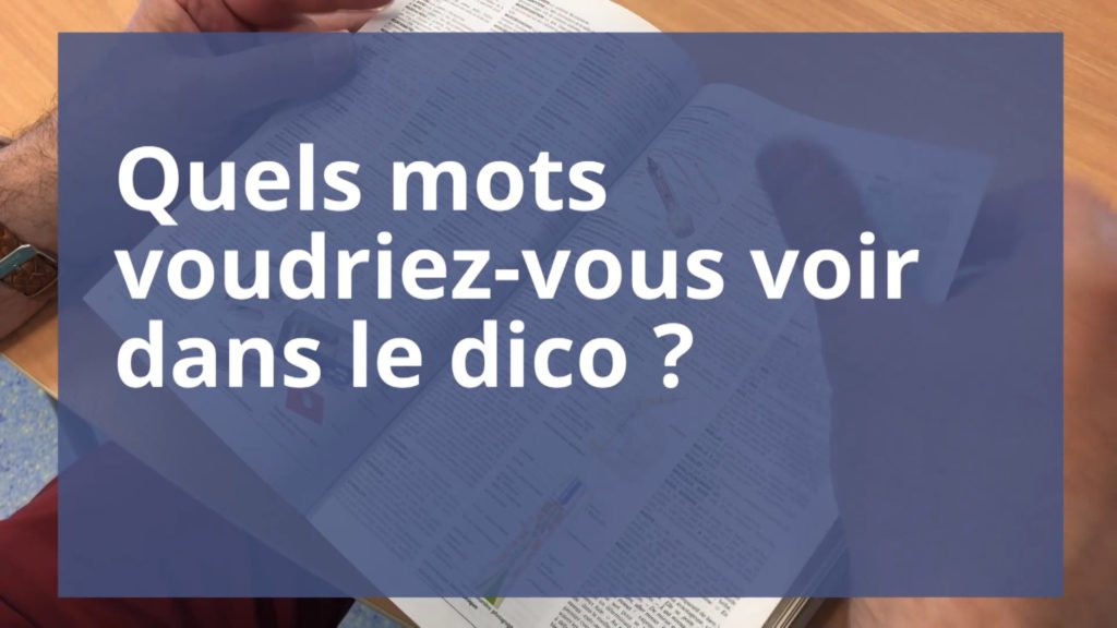 Quels mots mettriez-vous dans le dico ?