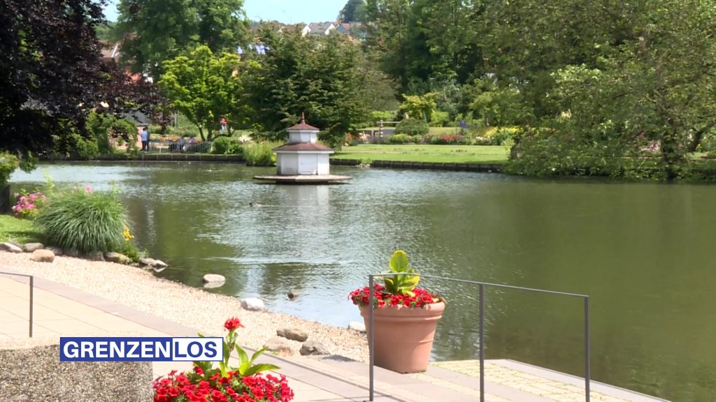 Jardin des roses et expo Résonance