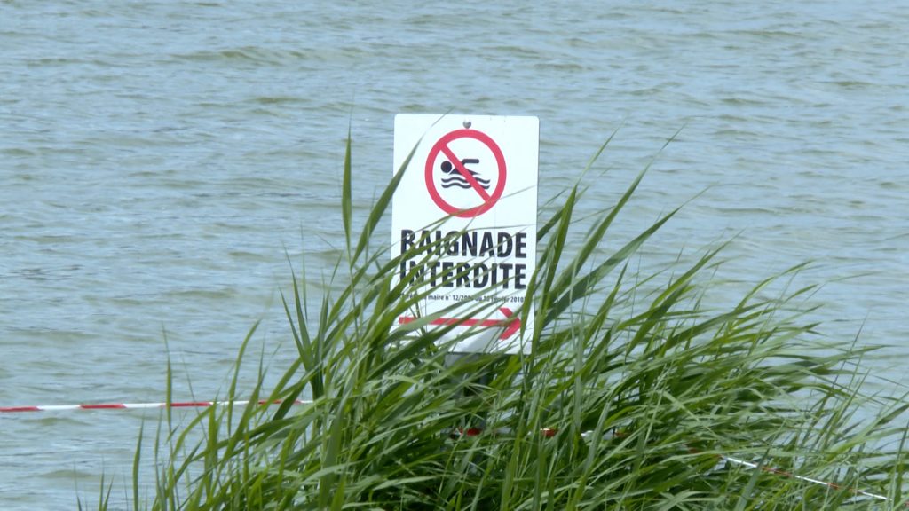 La baignade est interdite à l’étang de Hasselfurth à Bitche