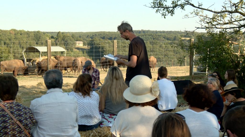 Une lecture face aux bisons