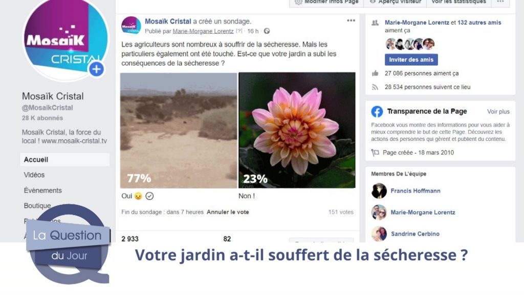 Votre jardin a-t-il souffert de la sécheresse ?