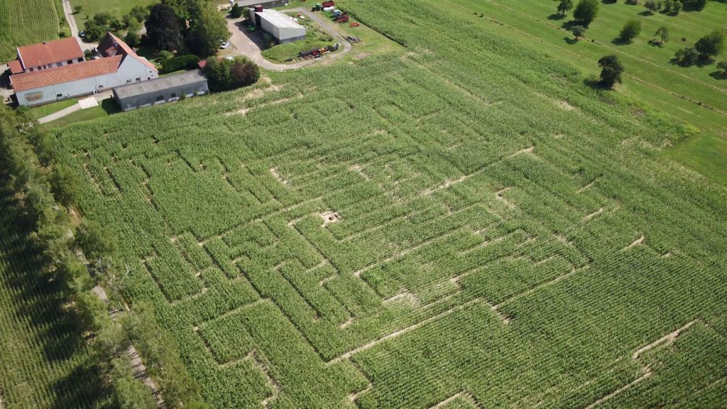 Un labyrinthe à la ferme du Kleinwald