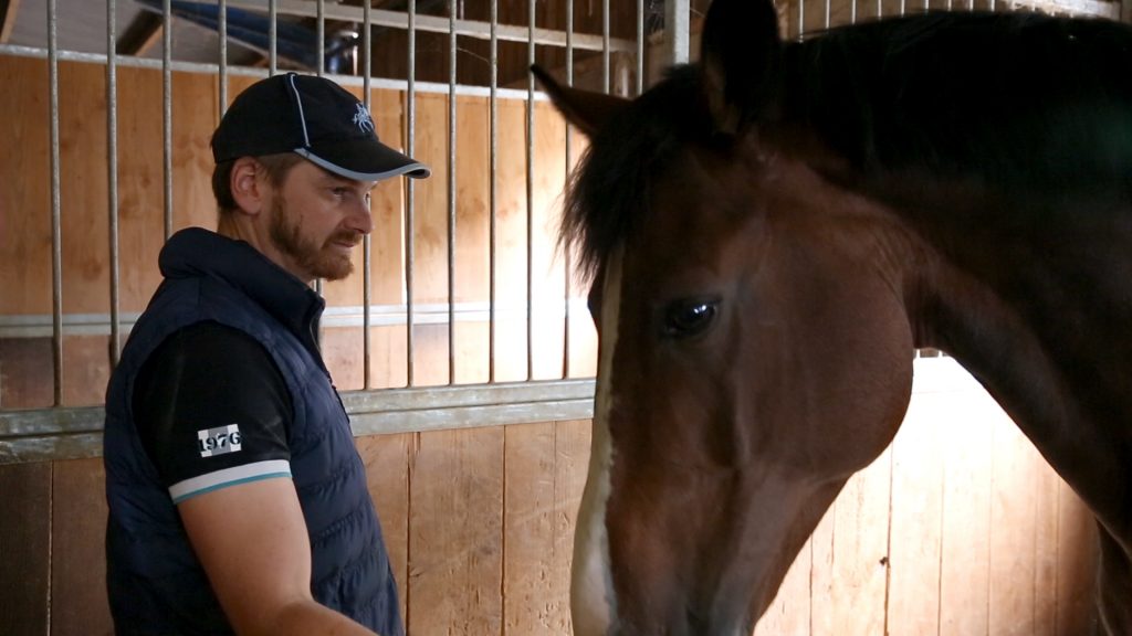 Guillaume Mayer et la passion des chevaux