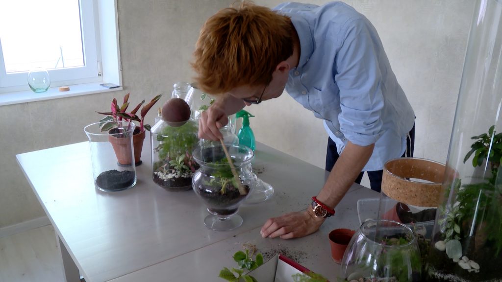 Pierre, le plante addict’