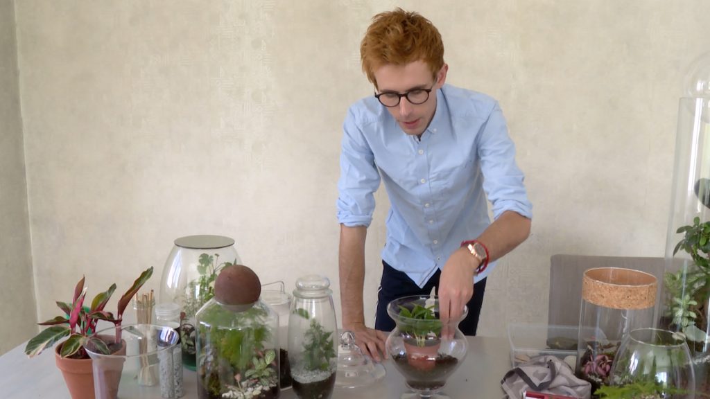 Comment réaliser un terrarium ?