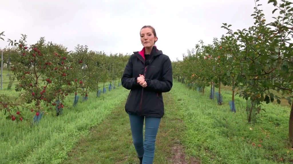 On Tour : l’automne au verger