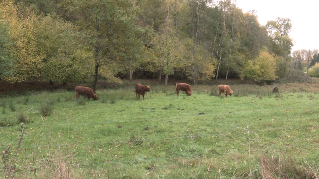 Les poilus du Silberberg entretiennent les friches