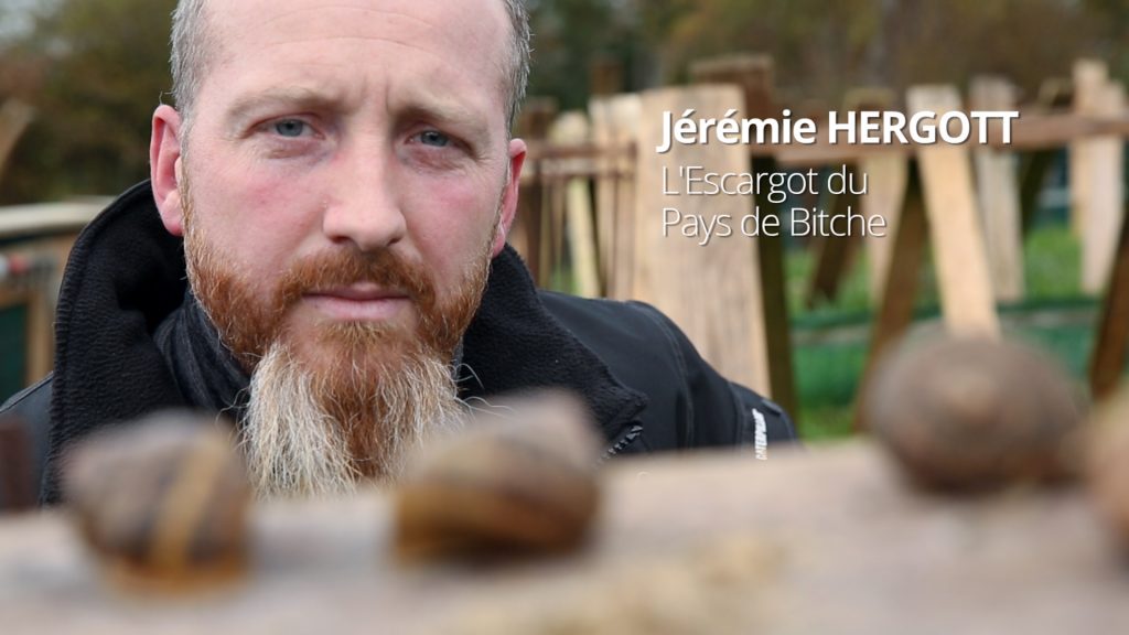 Jérémie Hergott, l'héliciculteur du Pays de Bitche