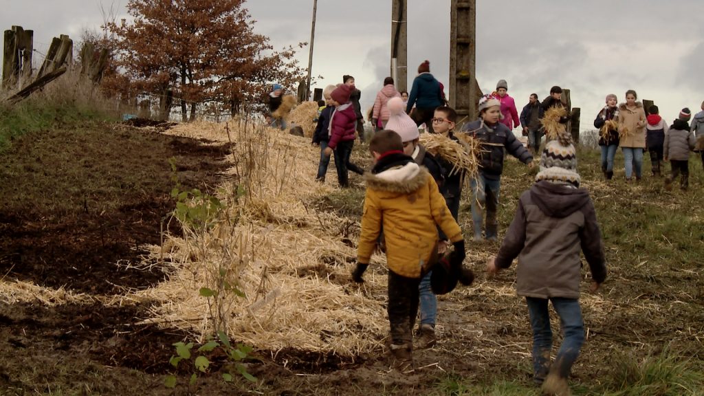 Planter des haies pour la biodiversité