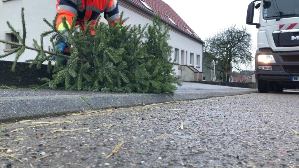 Vos sapins de Noël sont des déchets verts