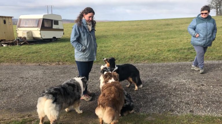 Acheter un chien, prenez vos précautions