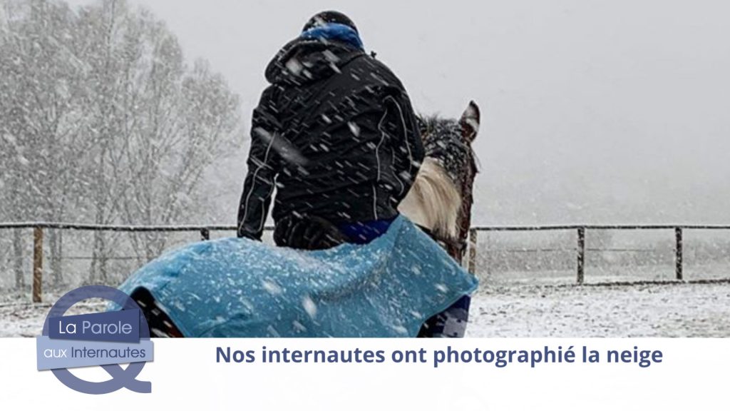 Nos internautes partagent leurs photos de la neige