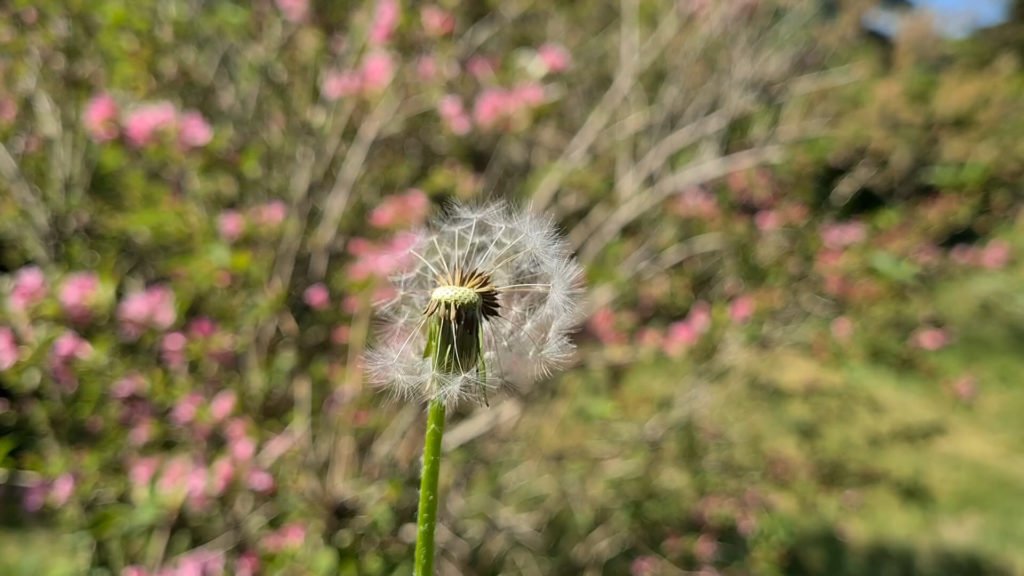 Environnement : qualité de l'air depuis le confinement