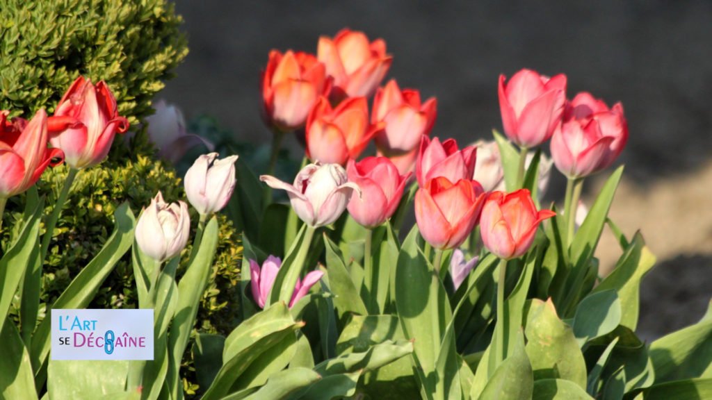 Le printemps chez Mosaik Cristal