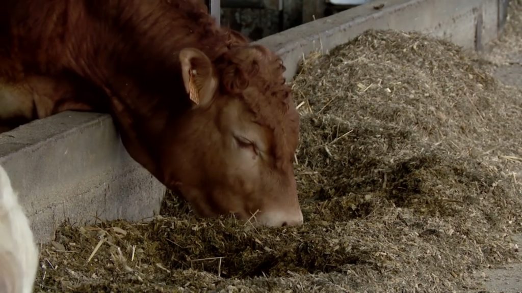 L'agriculture souffre de la crise sanitaire