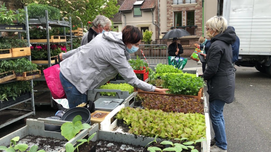 Le marché de Volmunster fait une pause