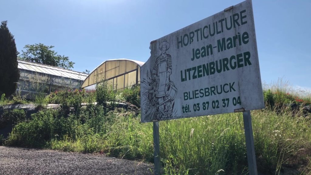 Bonne reprise pour l’horticulture Litzenburger