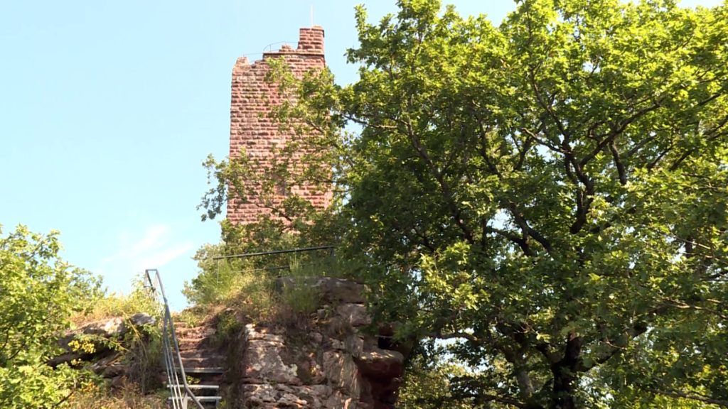 Le Waldeck, le veilleur de la forêt de Hanau