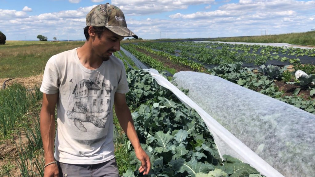 La Ferme Affable à Liederschiedt