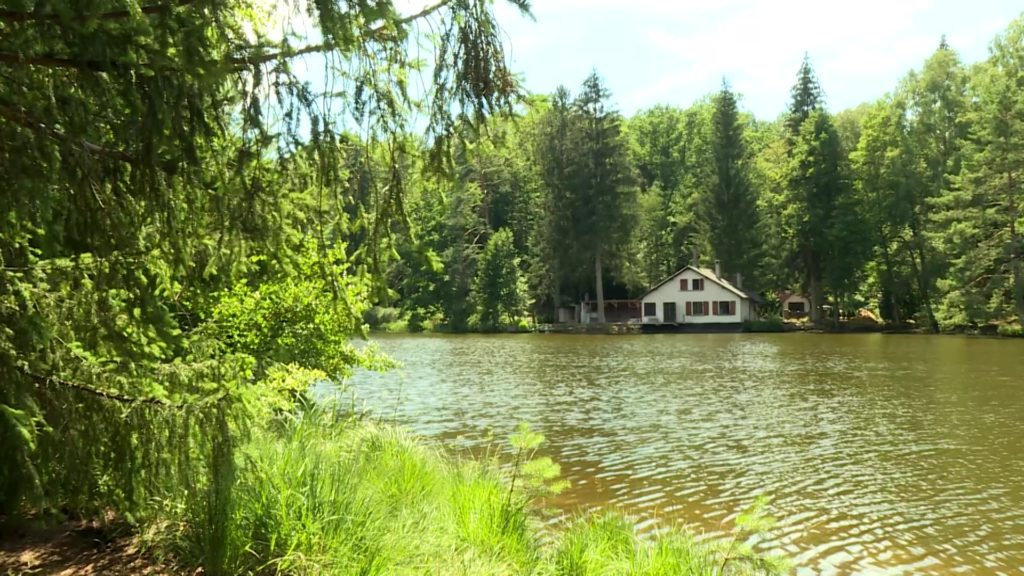 Etang de Hasselfurth, la promenade préférée des Bitchois