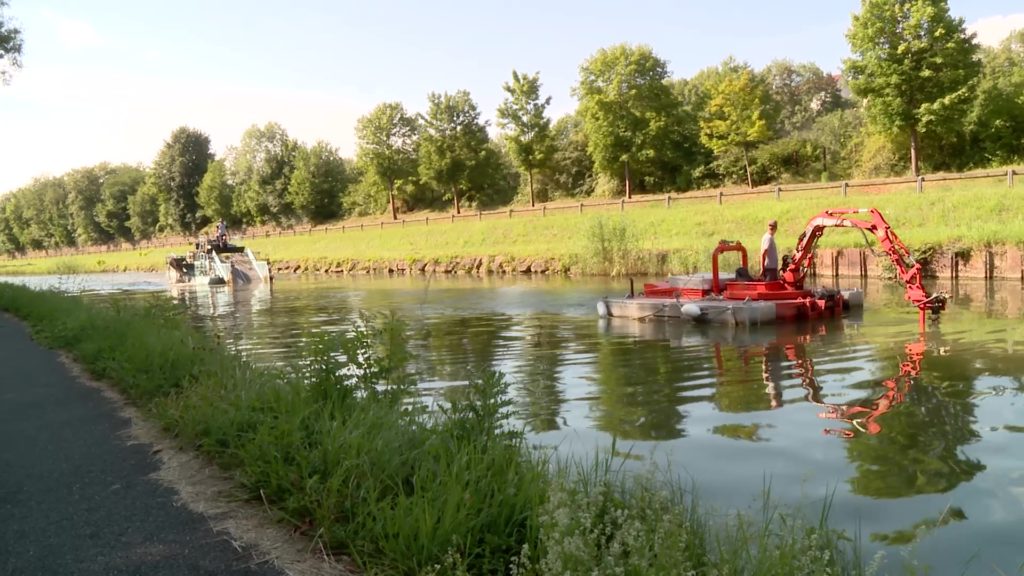 Nettoyage des algues sur le canal