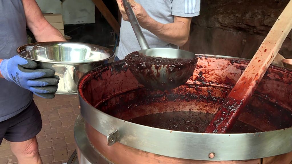 La saison des quetsches au Moulin d’Eschviller