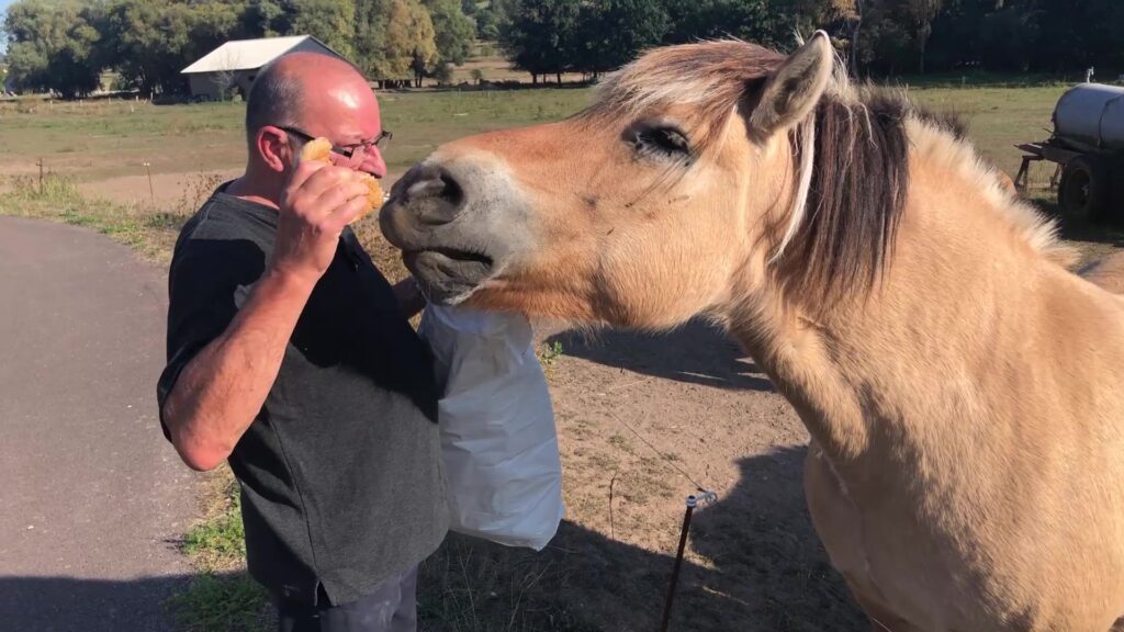 Les propriétaires s’inquiètent pour leurs chevaux