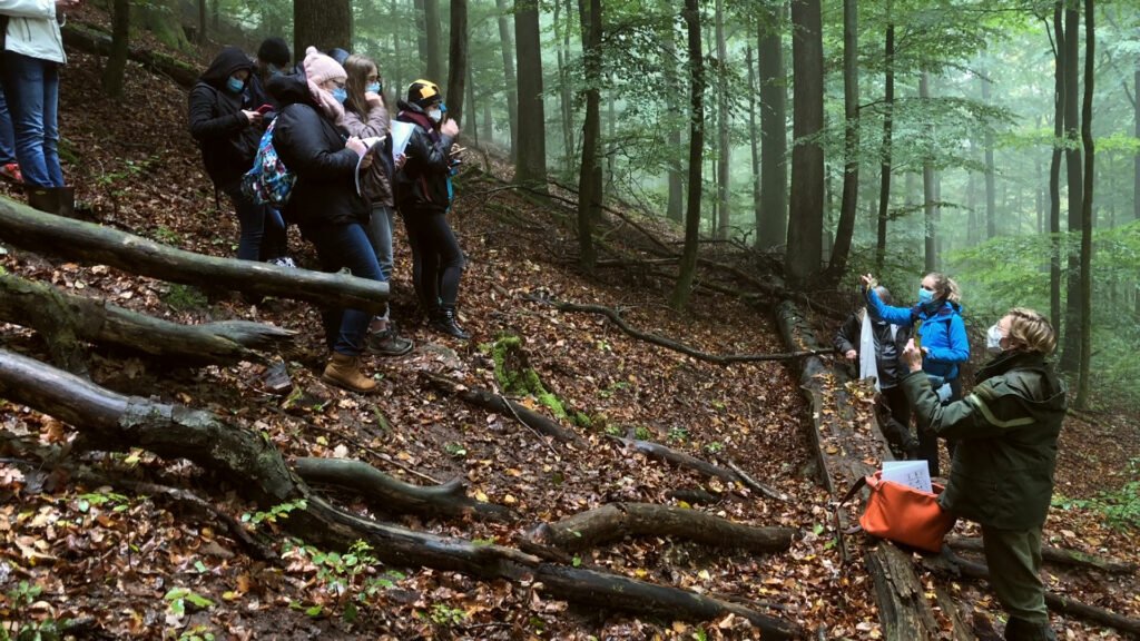 Le martéloscope du Falkenberg