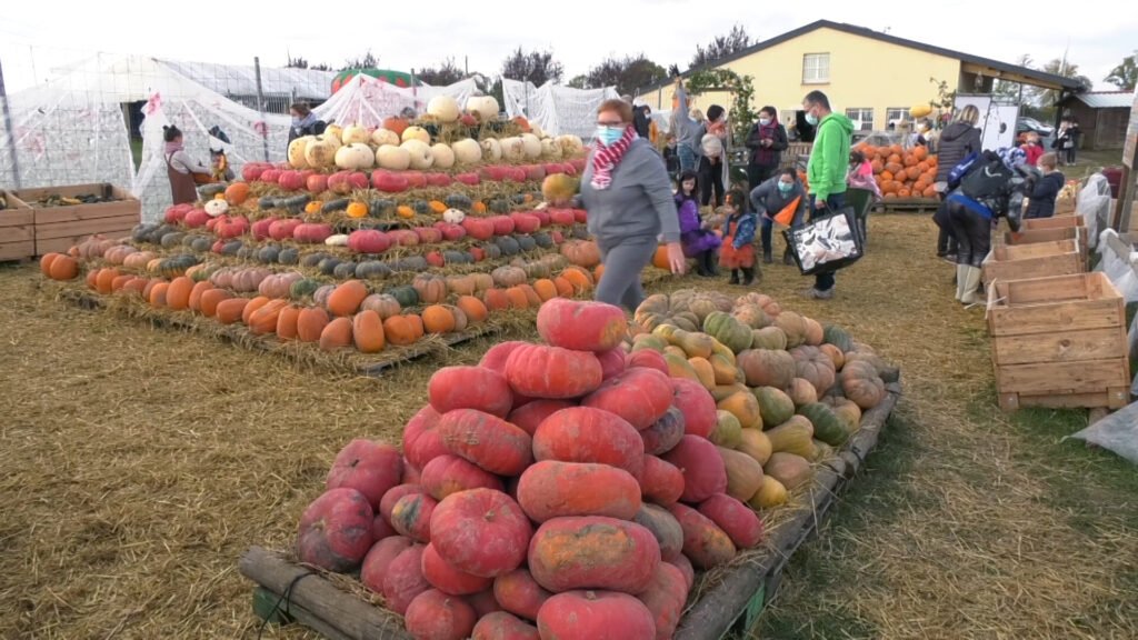 Cueillette de Peltre : au bonheur des courges