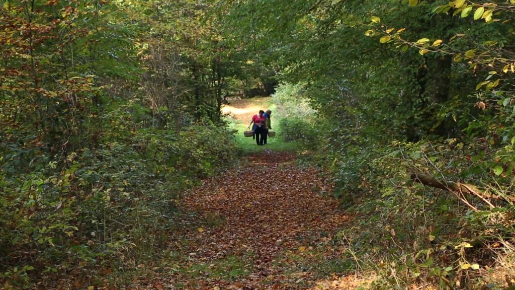 L’ONF, la police de la forêt