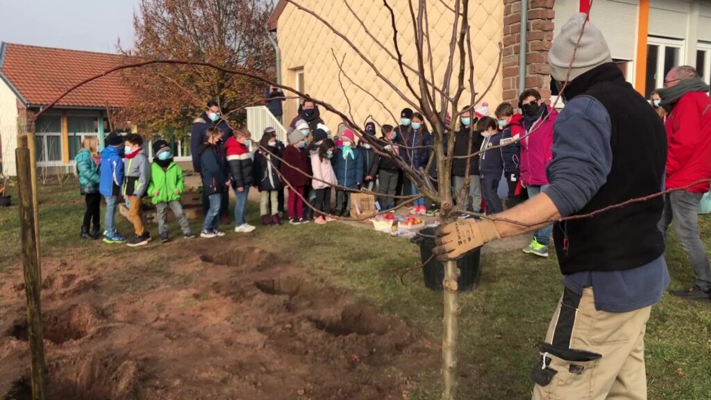 Un verger pédagogique pour les enfants de Lemberg