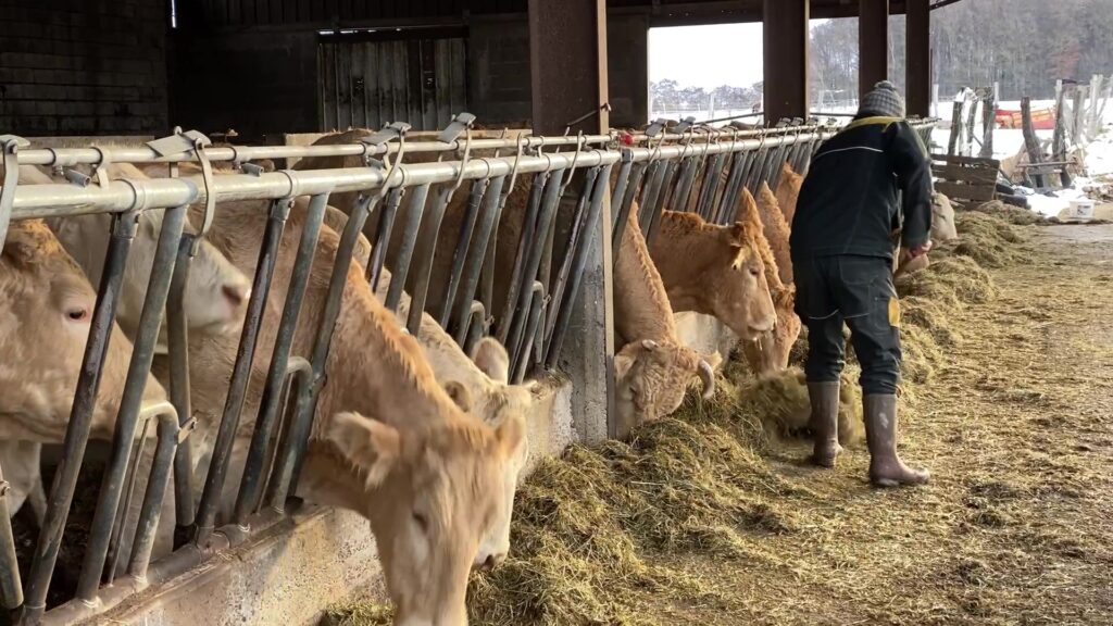 Un hiver à la ferme