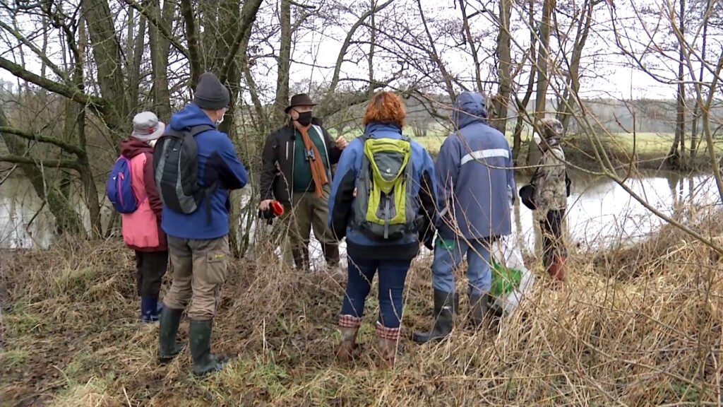 Sur les traces du castor le long de la Sarre