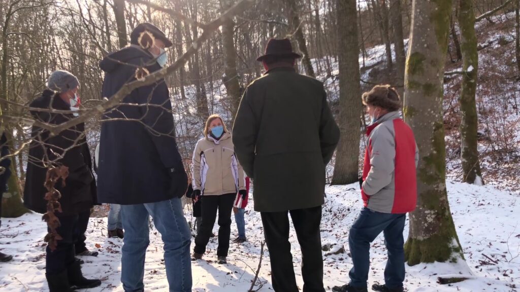 Balade au cœur de l'histoire de la forêt de Mouterhouse