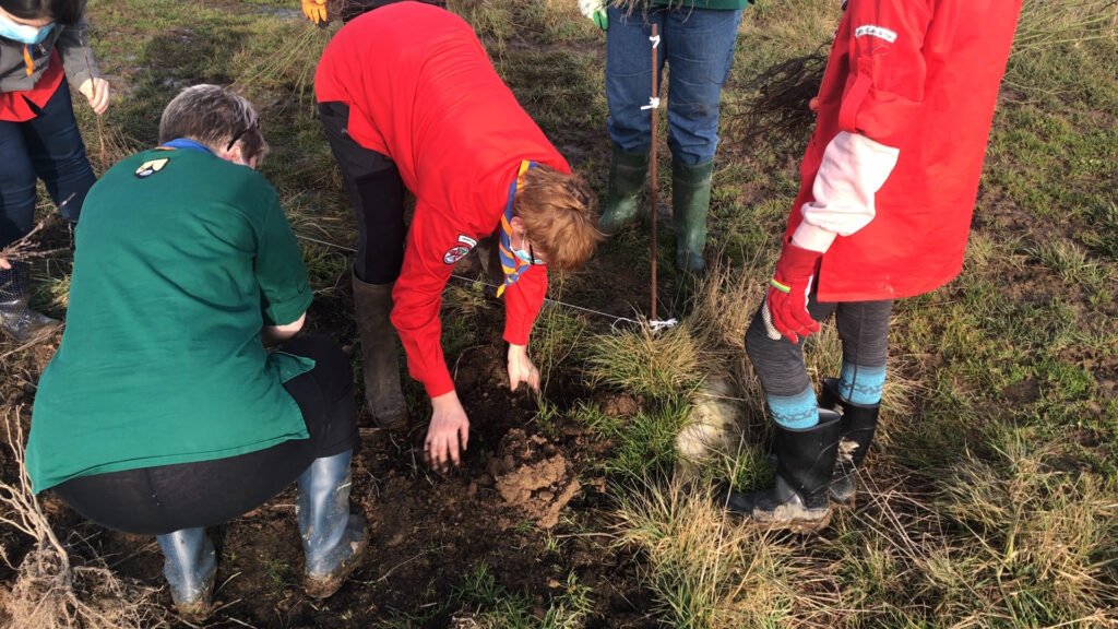 Chantier participatif : planter 1000 arbres a la ferme du Vieux Poirier