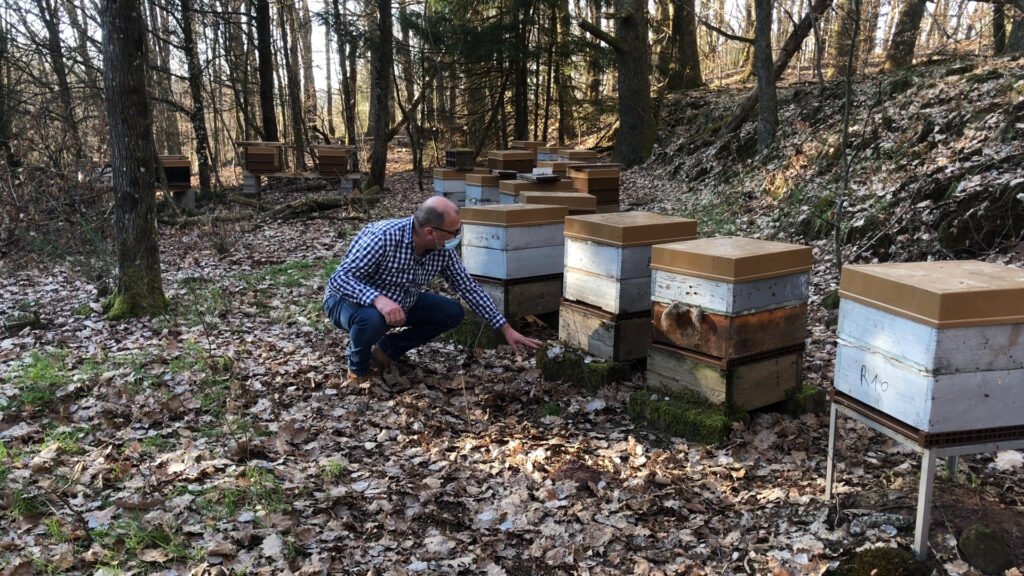 Températures exceptionnelles avant le début de la saison pour les apiculteurs