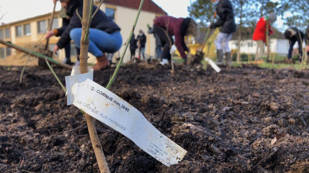 Des écoliers plantent la forêt de demain à Keskastel