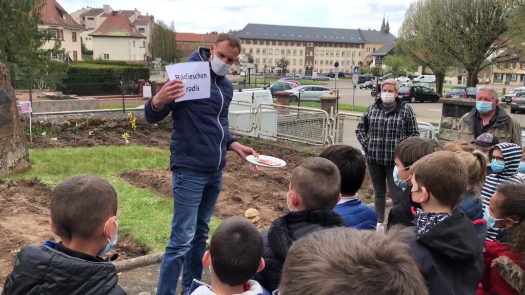 Un jardin potager créé par des élèves