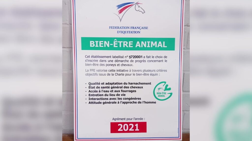 Bien-être animal : une priorité pour le Sarreguemines Jump