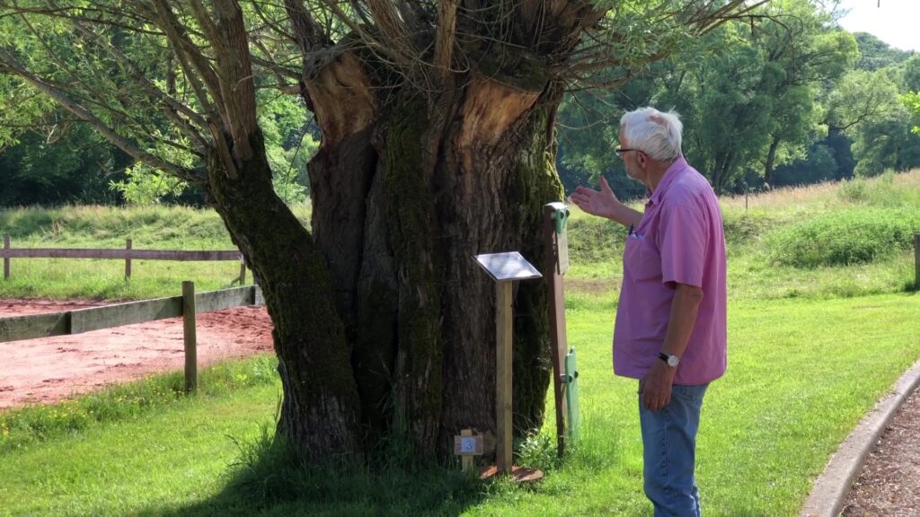 Les arbres indispensables à l’autonomie du meunier