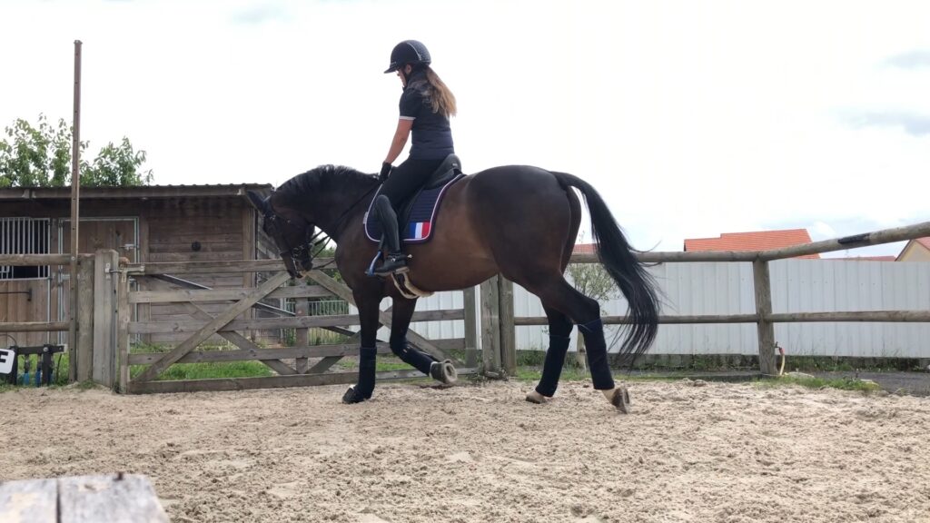 Cloé Jawurek qualifiée pour les championnats d’Europe juniors de dressage